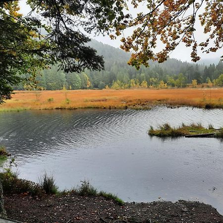 Au Coeur Des Lacs - Chambres D'Hotes Gérardmer Kültér fotó