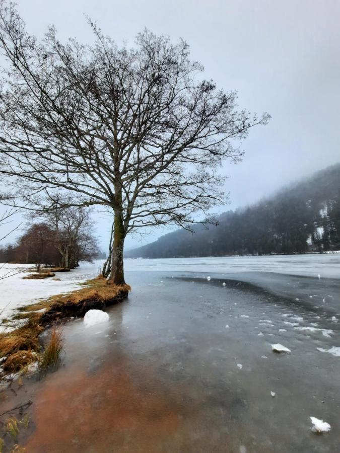 Au Coeur Des Lacs - Chambres D'Hotes Gérardmer Kültér fotó