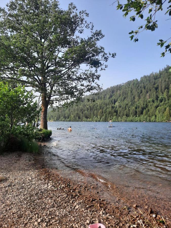Au Coeur Des Lacs - Chambres D'Hotes Gérardmer Kültér fotó